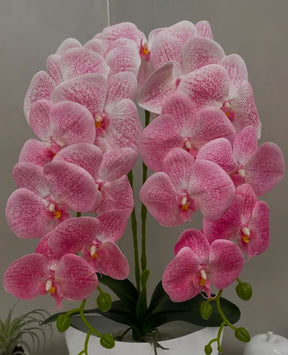 Orquídea Artificial com Jarro - 59cm