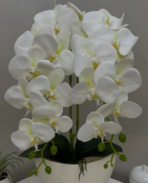 Orquídea Artificial com Jarro - 59cm