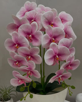Orquídea Artificial com Jarro - 59cm